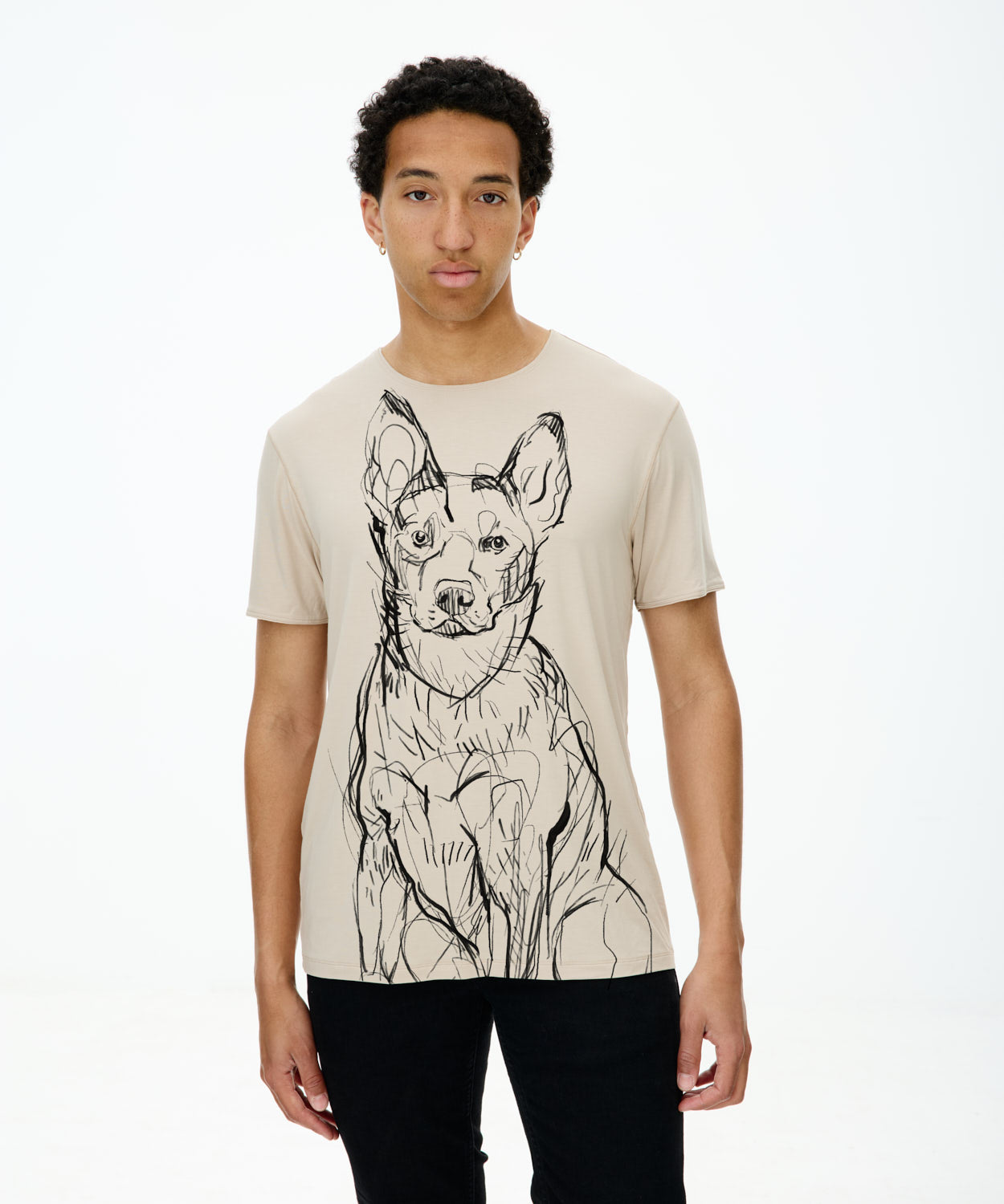Koszulka męska - Australian Cattle Dog - Hummus