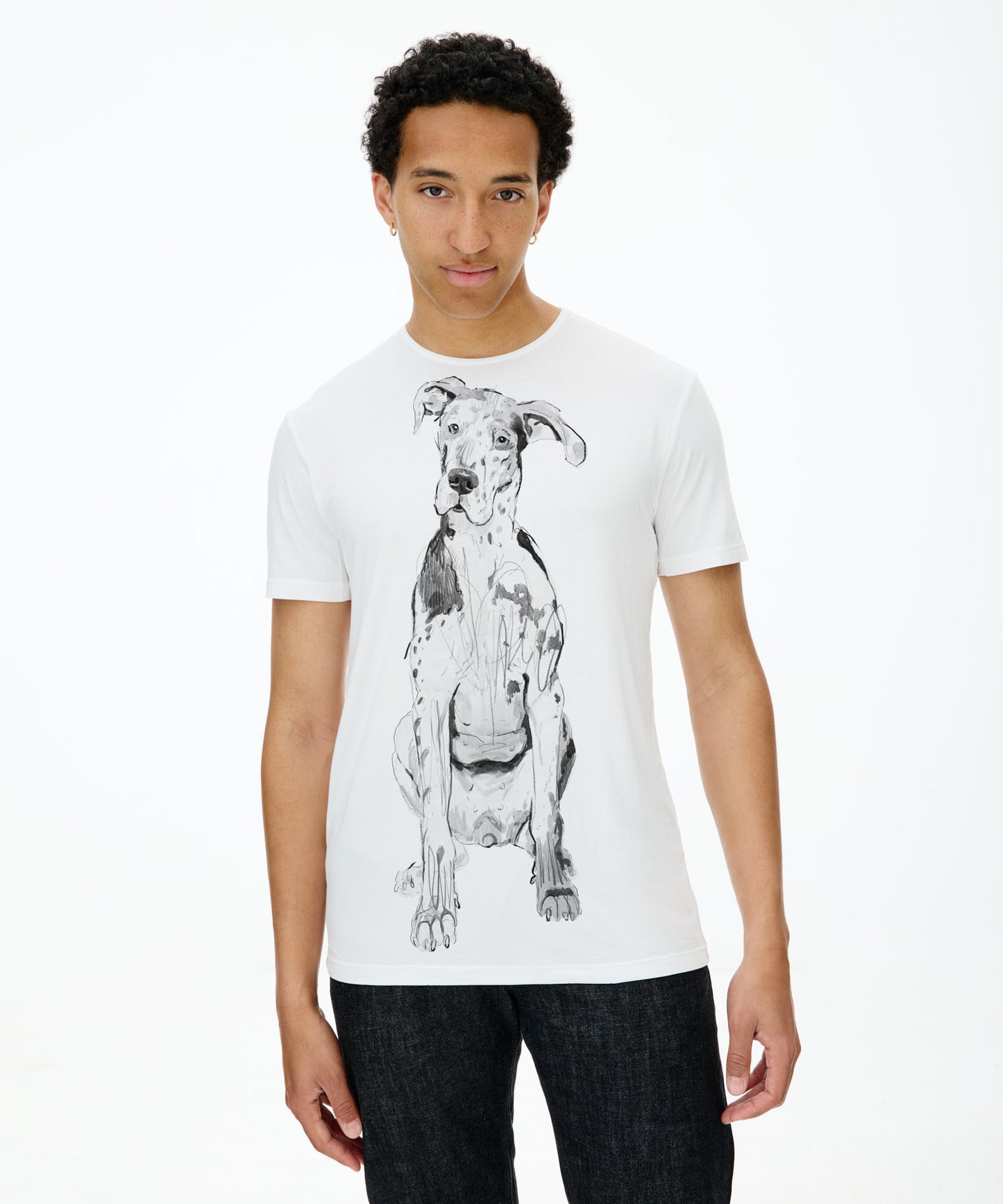 Great Dane No. 2 Men's White T-Shirt
