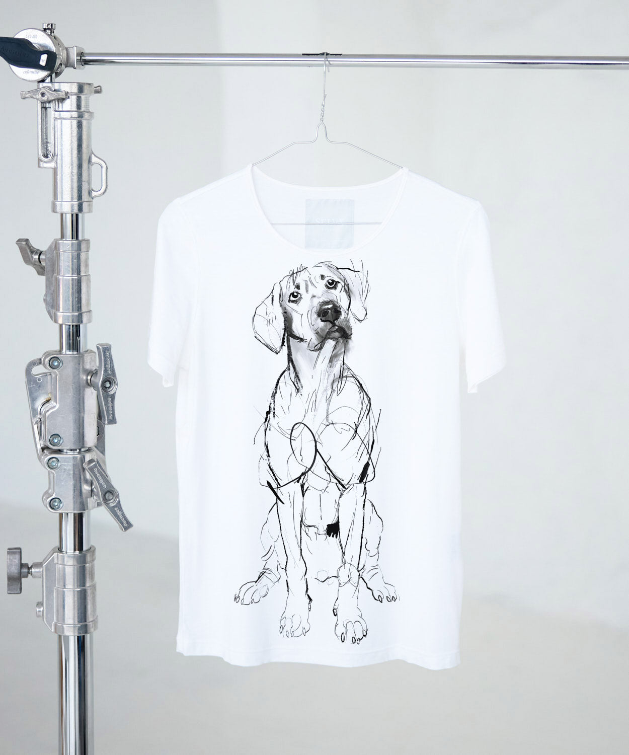Koszulka damska - Rhodesian Ridgeback - Biała