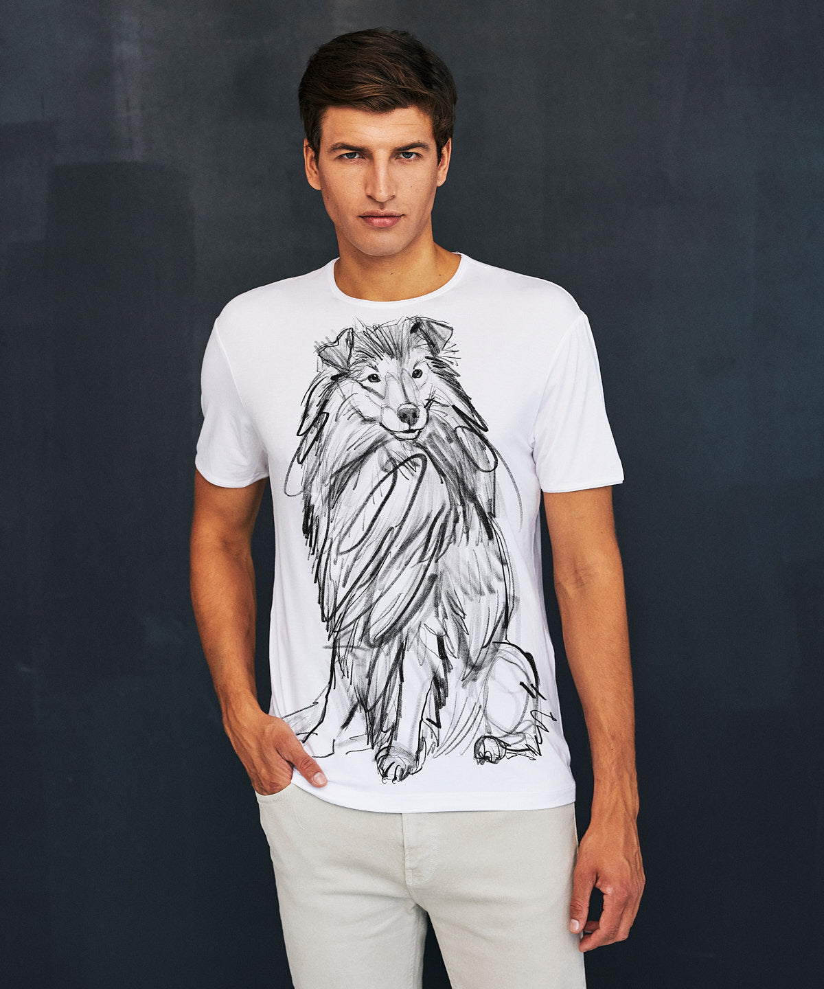 Koszulka męska - Szetlandzki Pies Pasterski - Biała