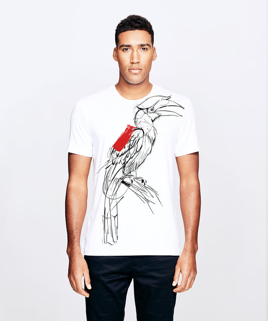Borneo Hornbill