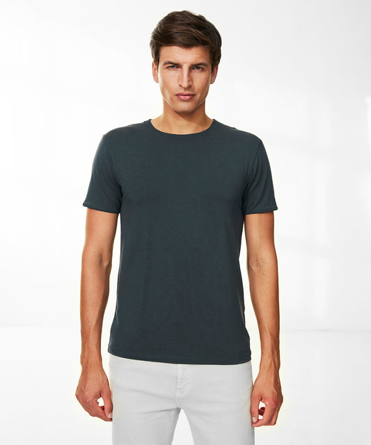 Model 2010 dark cool gray