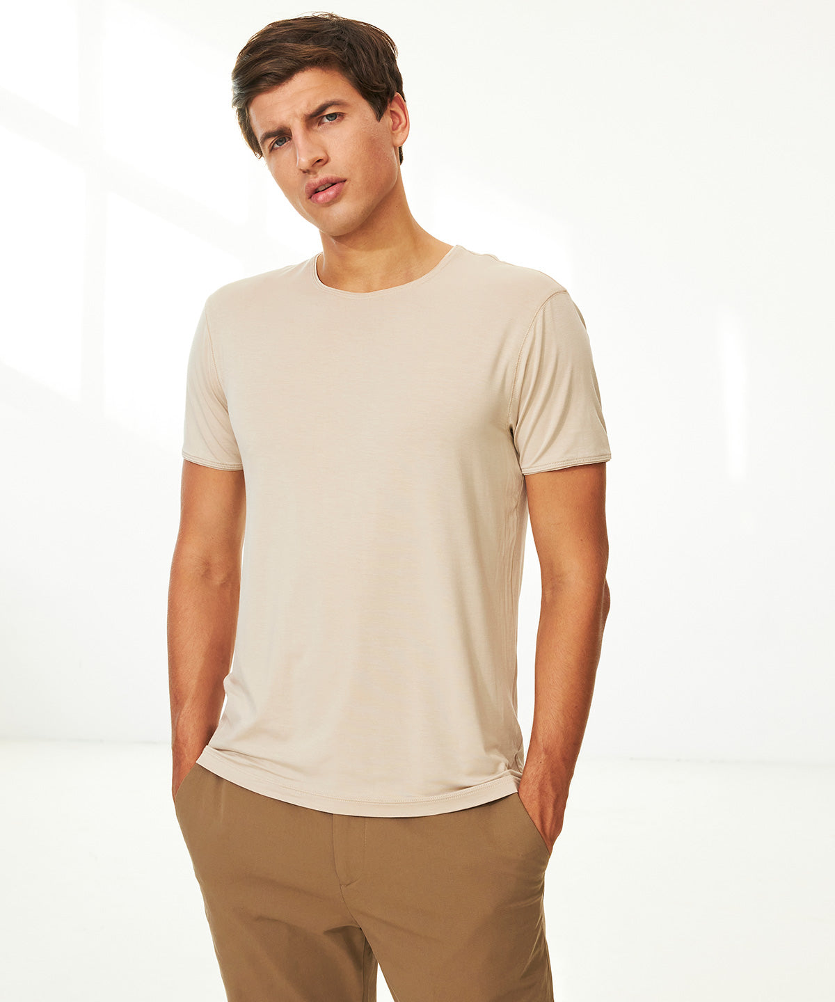Model 2010 hummus