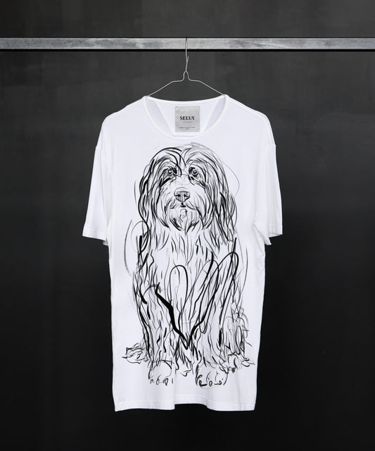 Koszulka męska - Bearded Collie - biała