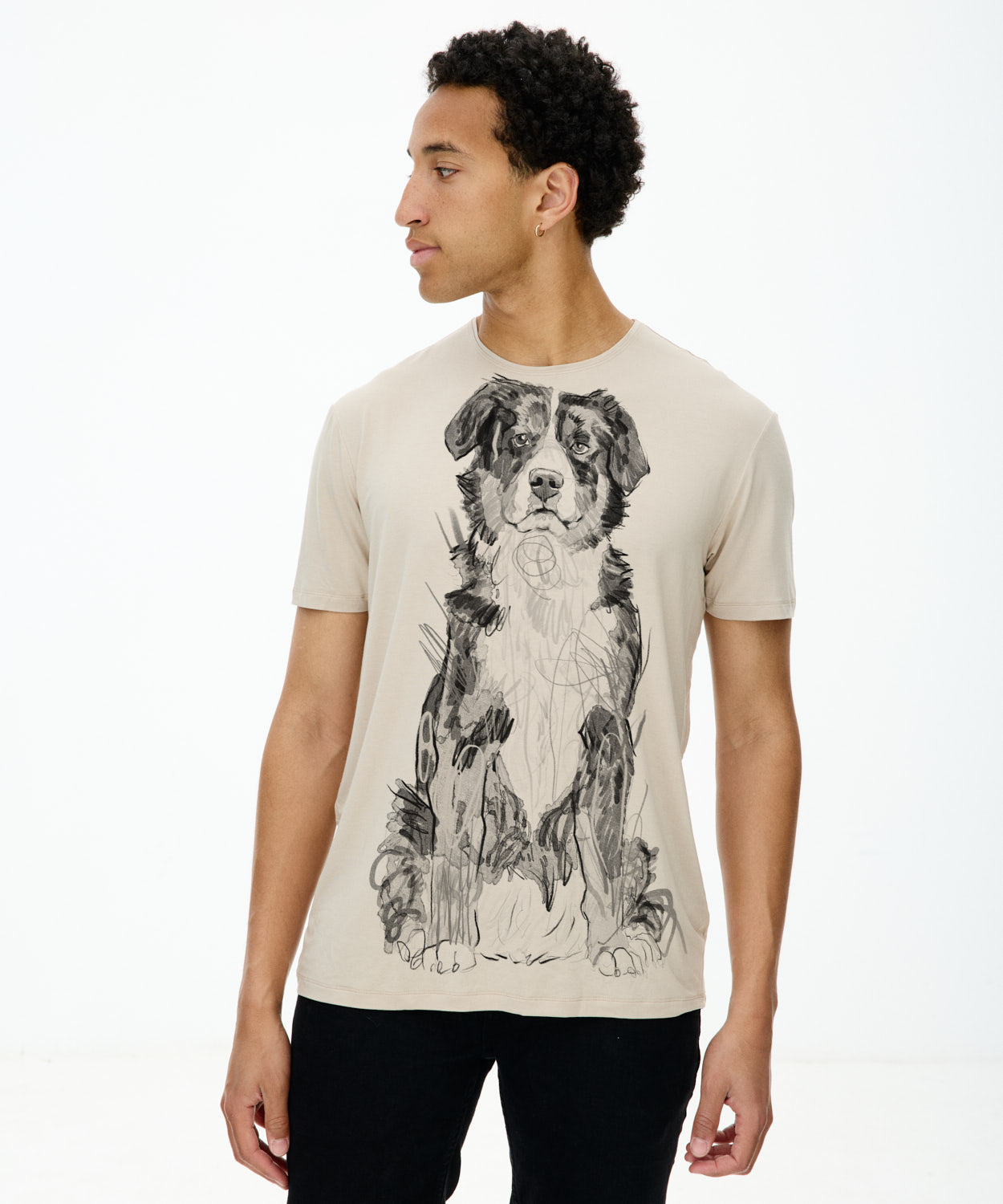 Koszulka męska - Bernese Mountain Dog No. 3 - Hummus