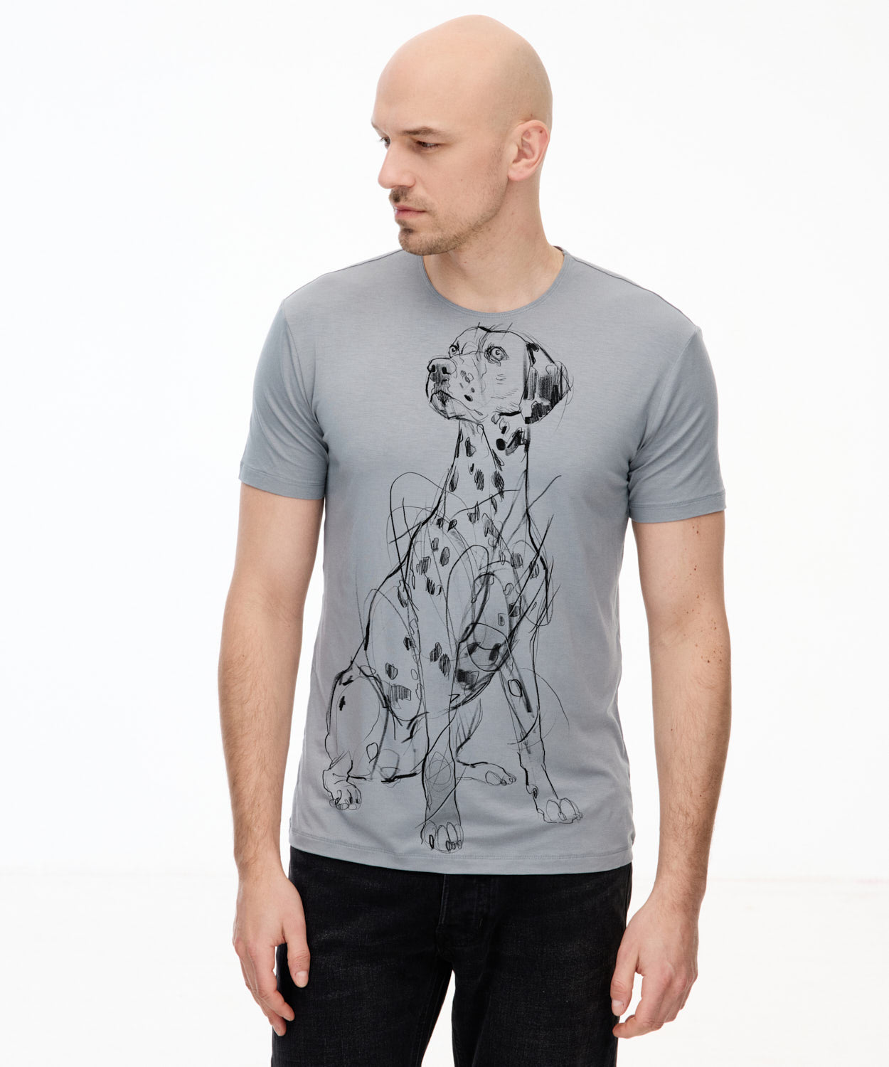 Dalmatian No. 2 Men's Storm cloud T-Shirt
