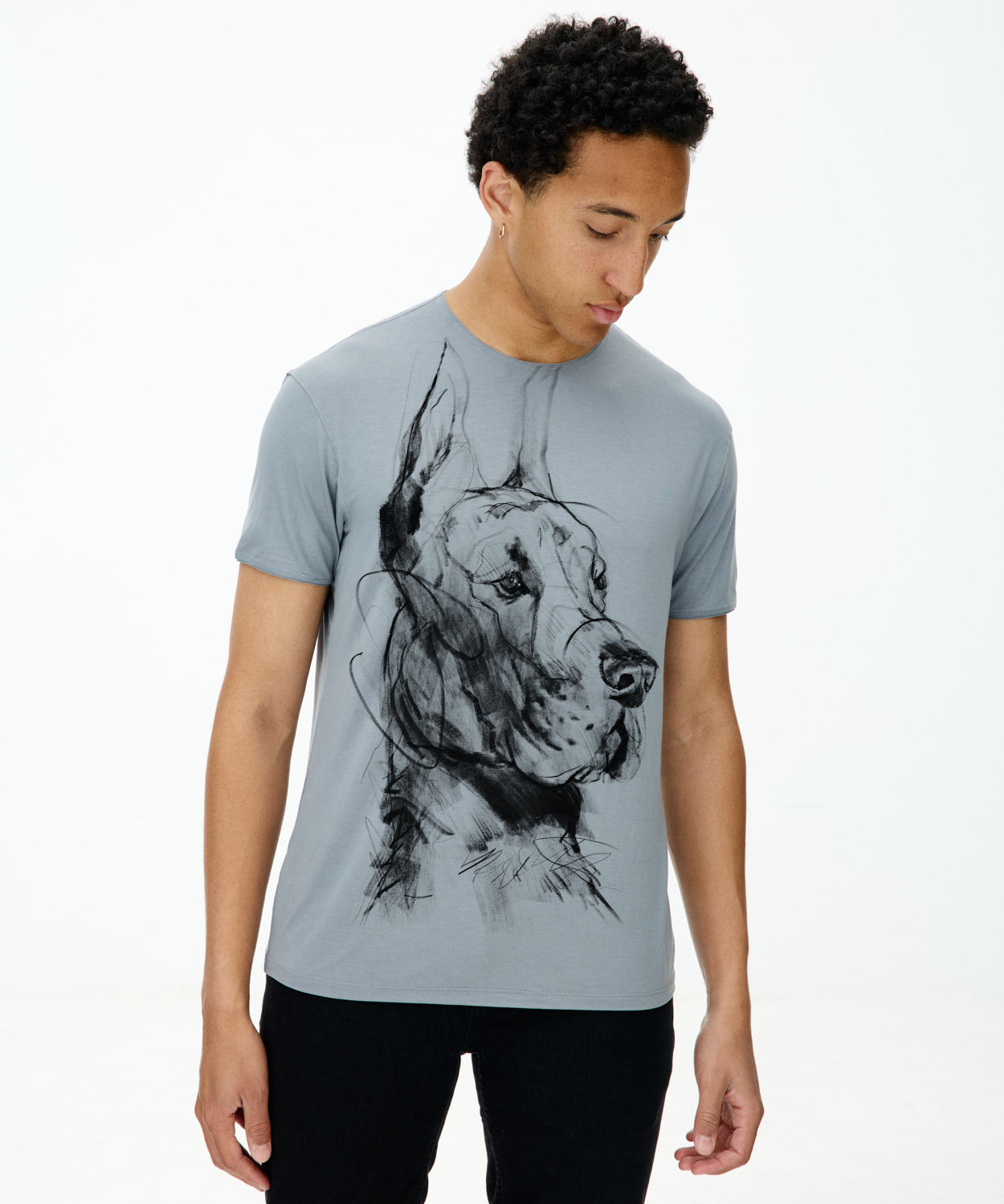 Great Dane No. 3 Men's Storm cloud T-Shirt