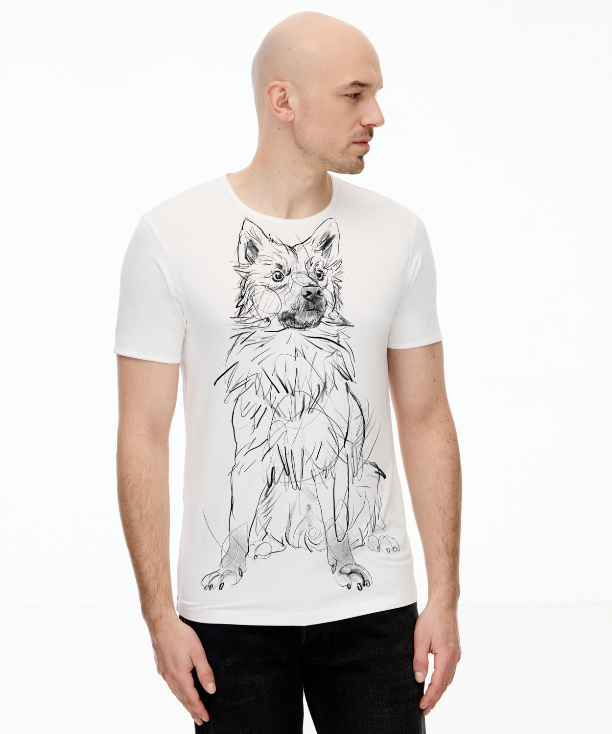 Icelandic Sheepdog Men's White T-Shirt
