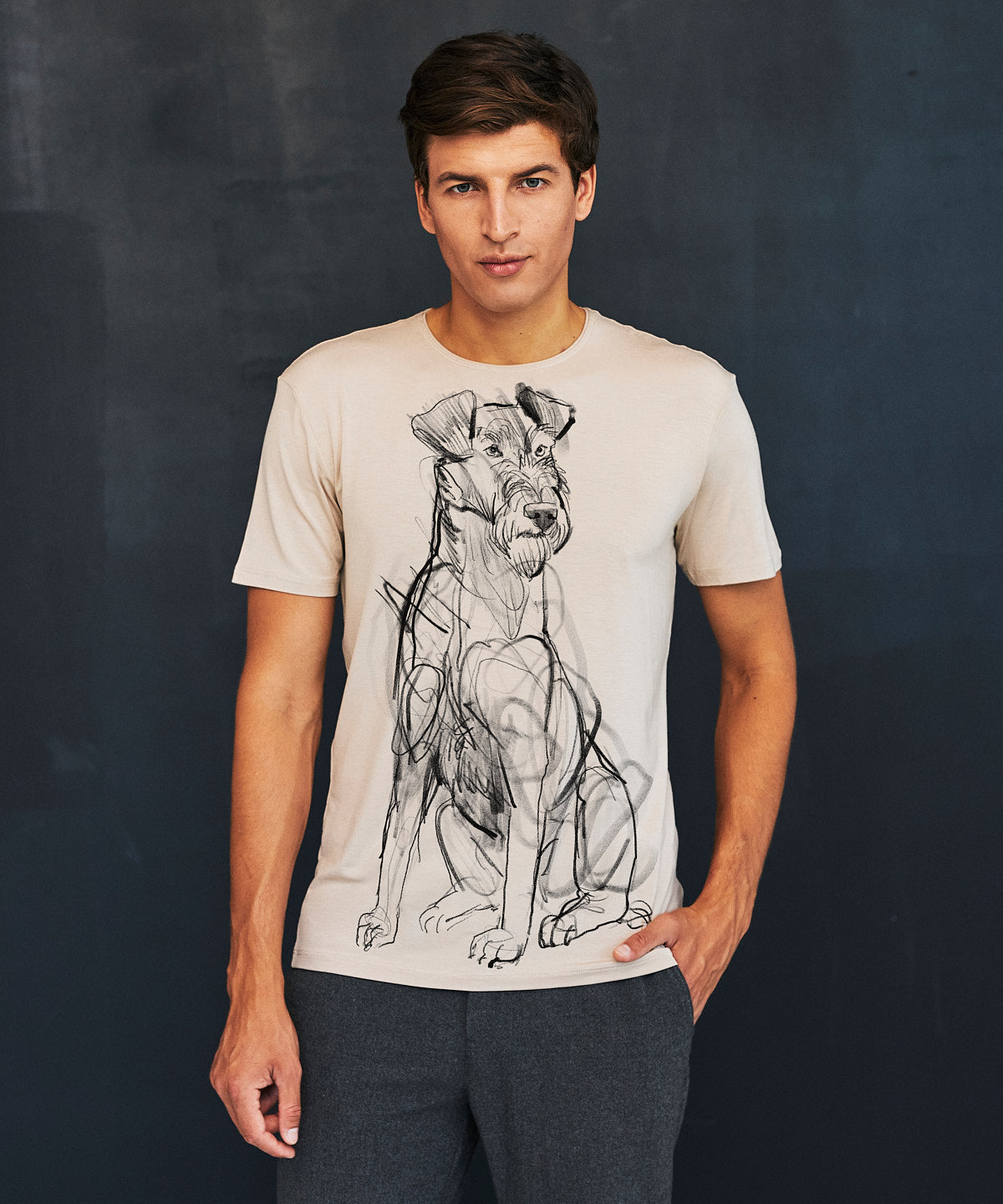Irish Terrier Men's Hummus T-Shirt
