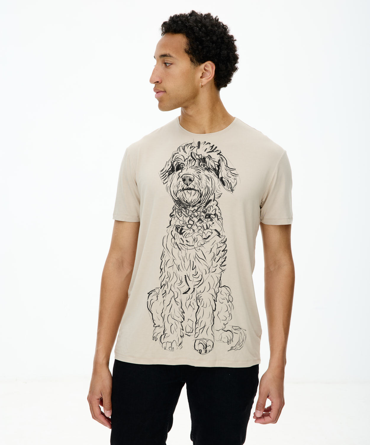 Koszulka męska - Lagotto Romagnolo - Hummus