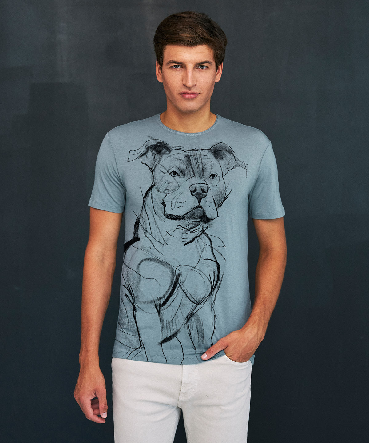 Koszulka męska - Staffordshire Bull Terrier - No. 2 - Storm Cloud
