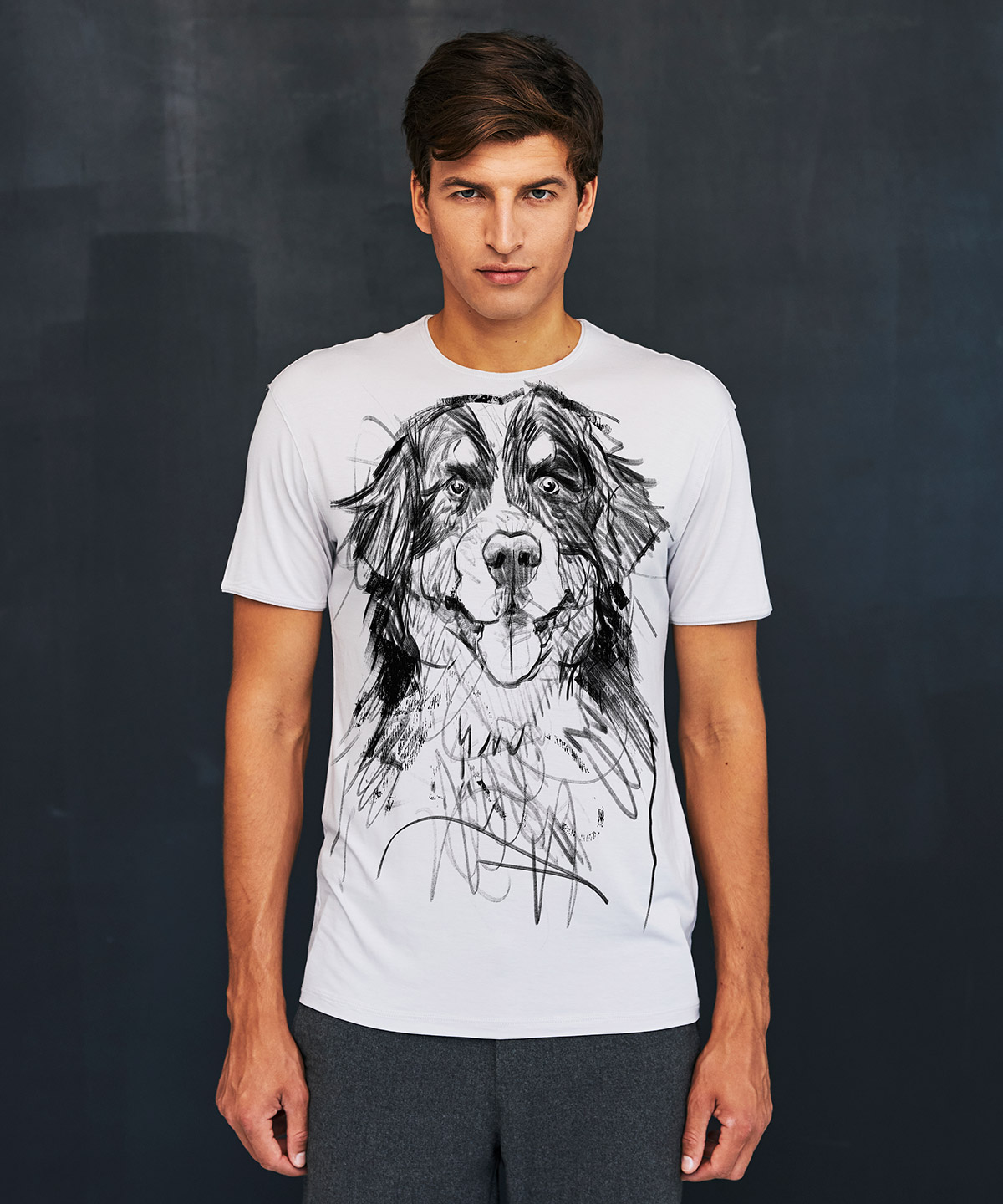 Bernese Mountain Dog hoar t-shirt MAN
