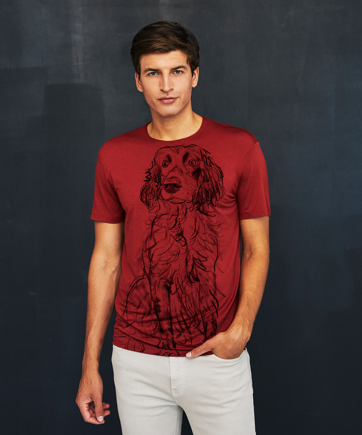 German Spaniel marsala t-shirt MAN