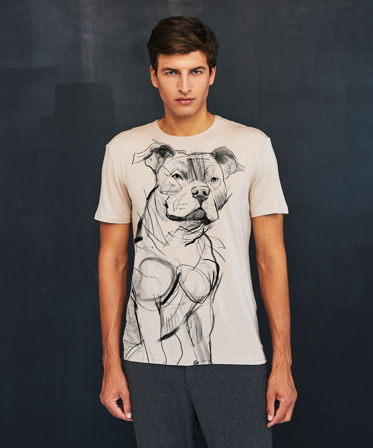 Staffordshire Bull Terrier hummus t-shirt MAN